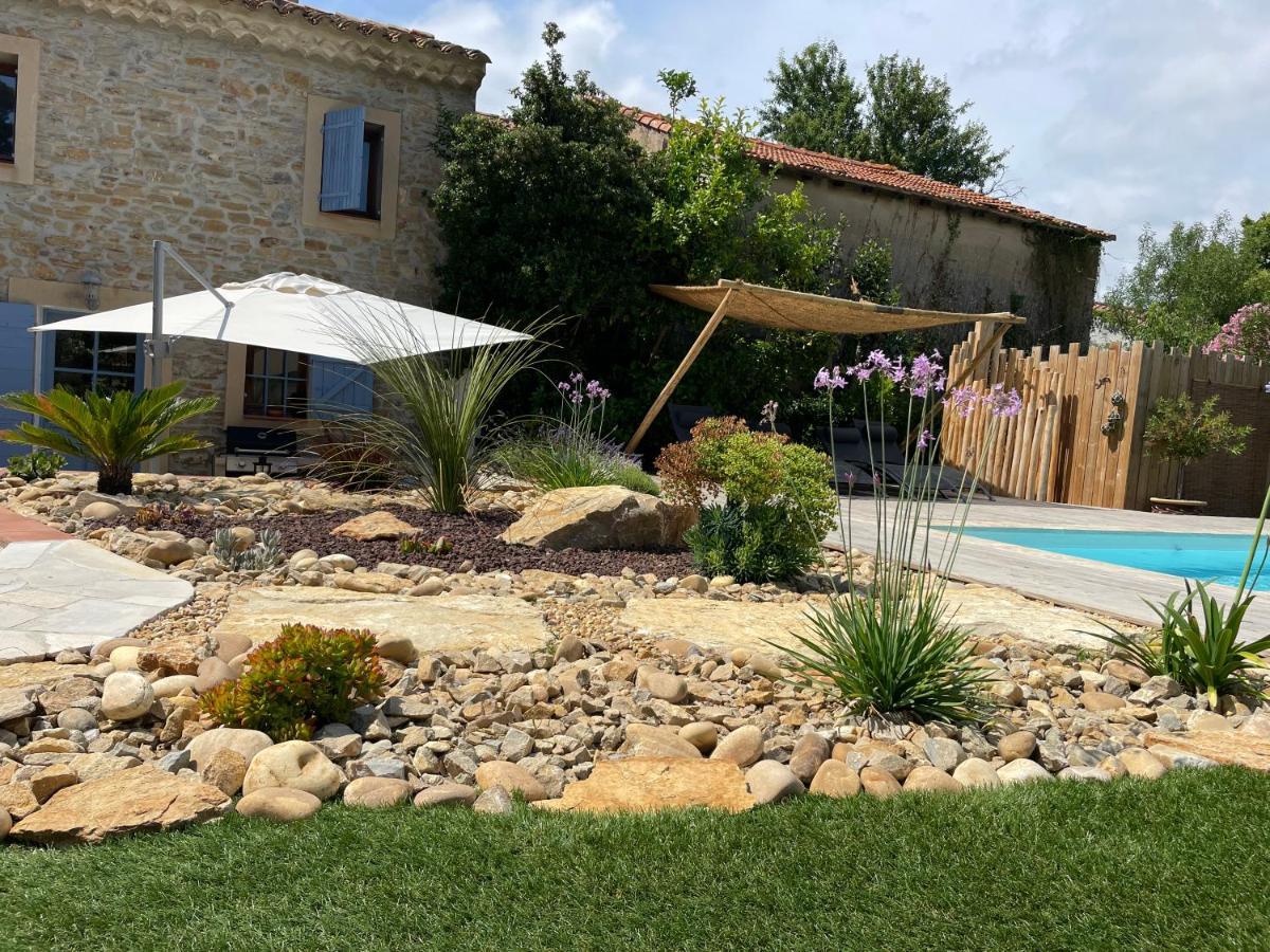 Mas Provencale Jardin Piscine Villa Saint-Cyr-sur-Mer Eksteriør billede
